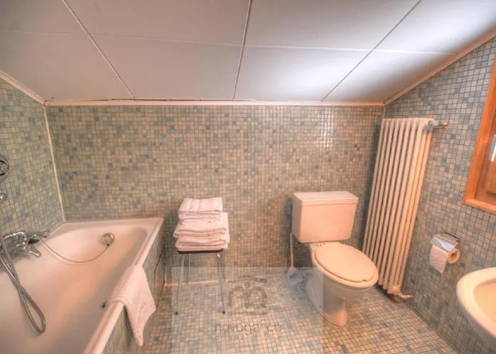 Arpille A En Plein Nature * Anzère